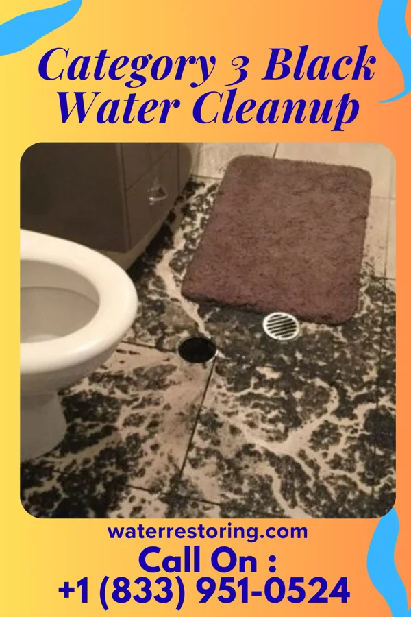 Category 3 Black Water Cleanup in Encantado, NM