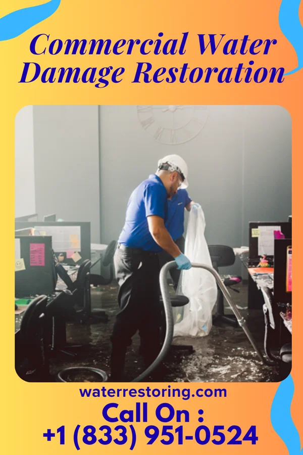 Commercial Water Damage Restoration in Encantado, NM