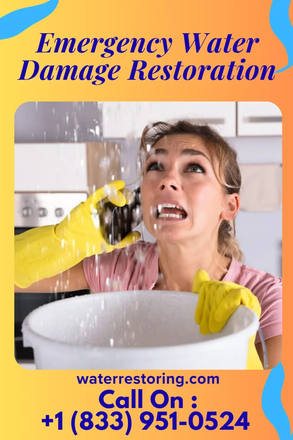 Emergency Water Damage Restoration in Encantado, NM
